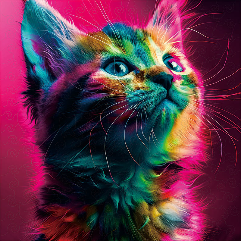 🔥LAST DAY 85% OFF-Cat Multicolor