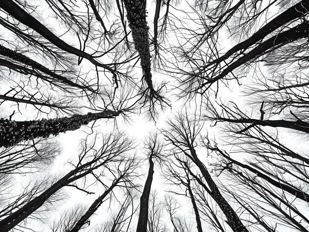 Forest Sky Wooden Jigsaw Puzzle
