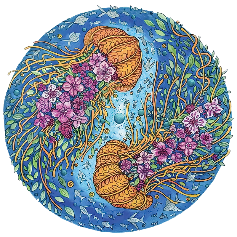 Twin Jellyfish Puzzle
