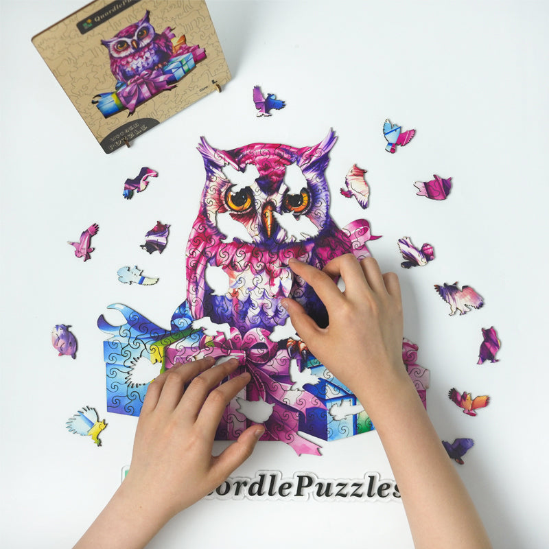 🔥LAST DAY 85% OFF-Owl funny with gifts