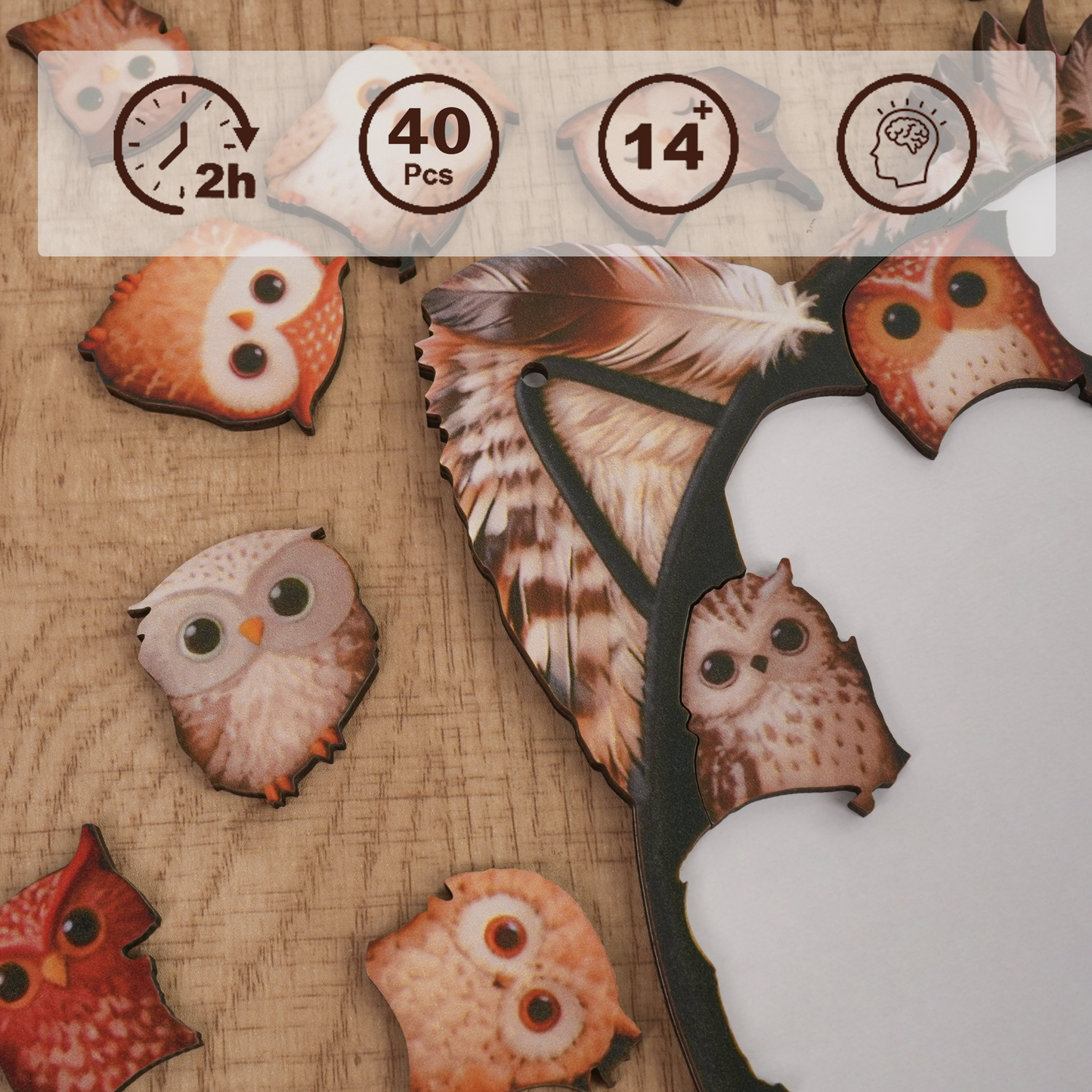 Wisdom Owl Gathering Display Puzzle