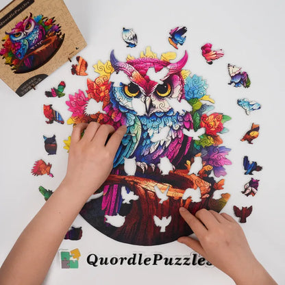 🔥LAST DAY 92% OFF-Rainbow owl on a branch